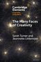 Sarah Turner: The Many Faces of Creativity, Buch