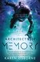 Karen Osborne: Architects of Memory, Buch