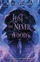 Aiden Thomas: Lost in the Never Woods, Buch