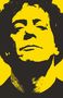 Will Hermes: Lou Reed, Buch
