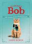 James Bowen: Little Book of Bob, Buch