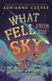 Adrianna Cuevas: What Fell from the Sky, Buch, Buch