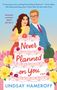 Lindsay Hameroff: Never Planned on You, Buch