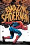 "The Amazing Spider-Man" steht groß. Ein zerschlissener Spider-Man sitzt angespannt auf einer Feuerleiter in einem dunklen Innenhof., Buch