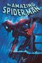 "The Amazing Spider-Man" steht oben, darunter klettert Spider-Man bei Regen eine Leiter hoch.