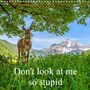 Christa Kramer: Don't look at me so stupid (Wall Calendar 2021 300 × 300 mm Square), KAL