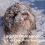 Petra Saf Photography: Lagotto Romagnolo Cute Little Teddy Bears (Wall Calendar 2021 300 × 300 mm Square), KAL