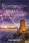 Jodie Bailey: Hidden in the Canyon, Buch