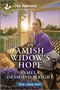 Text: "An Amish Widow's Hope" und "Pamela Desmond Wright". Eine Frau in lila Kleidung betet auf einer Veranda bei Sonnenuntergang.