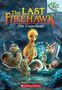 Der Text "The Last Firehawk - The Underland" ist prominent. Darunter sind ein gelber Vogel und zwei Eulen mit Heldensfackel zu sehen.