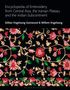 Gillian Vogelsang-Eastwood: Encyclopedia of Embroidery from Central Asia, the Iranian Plateau and the Indian Subcontinent, Buch