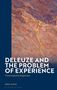 Dror Yinon: Deleuze and the Problem of Experience, Buch