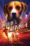 Allen Zadoff: Wild & Chance, Buch