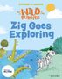 Lorna Greengrass: Stories for Maths: Zig Goes Exploring, Buch