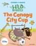 Abbie Rushton: Stories for Maths: EYFS: The Canopy City Cup (Shapes with 4 sides), Buch, Buch