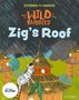 Giles Clare: Stories for Maths: Zig's Roof, Buch