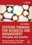 "2nd Edition, Systems Thinking for Business and Management: Principles and Practice" von Spanellis, Bititci, Marques-McEwan. Bunte Knotenstruktur.