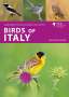 Daniele Occhiato: Birds of Italy, Buch