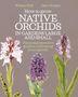 Dave Morgan: How to Grow Native Orchids in Gardens Large and Small, Buch, Buch