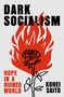 „DARK SOCIALISM“ oben, „HOPE IN A RUINED WORLD“ links, „KOHEI SAITO“ rechts. Illustration: Rose in Flammen., Buch