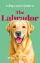 "A Dog Lover's Guide to The Labrador" von Will Atherton. Illustration eines lächelnden Labradors auf grünem Hintergrund., Buch