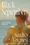 „Black September“ und „Sandro Veronesi“. Im Hintergrund ein Gemälde eines Mannes am Meer, der sich den Kopf hält., Buch