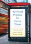 Philip Goldberg: Spiritual Practice for Crazy Times, Buch