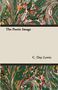 C. Day Lewis: The Poetic Image, Buch