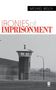 Michael Welch: Ironies of Imprisonment, Buch