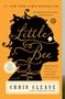 Chris Cleave: Little Bee, Buch