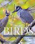 Bruce M Beehler: Birds of Maryland, Delaware, and the District of Columbia, Buch