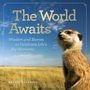 Rachel Buchholz: The World Awaits: Wisdom and Stories to Celebrate Life's Big Moments, Buch