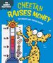 Sue Graves: Money Matters: Cheetah Raises Money, Buch