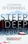 Text: "Catherine O'Connell, Steep and Deep, An Aspen Mystery, There's more to fear on the mountain than the snow..." Winterlandschaft., Buch