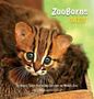 Andrew Bleiman: ZooBorns Cats!, Buch