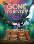 Erin Silver: Gone Forever?, Buch