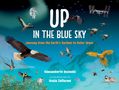 Gianumberto Accinelli: Up in the Blue Sky, Buch