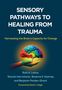 Ruth A Lanius: Sensory Pathways to Healing from Trauma, Buch