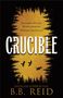 B. B. Reid: Crucible, Buch