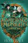 Holly Race: A Gathering Midnight, Buch