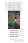 Kate Zambreno: The Light Room, Buch