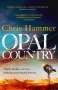 Chris Hammer: Opal Country, Buch