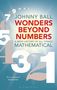 Johnny Ball: Wonders Beyond Numbers, Buch