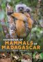 Nick Garbutt: Handbook of Mammals of Madagascar, Buch