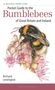 Richard Lewington: Pocket Guide to the Bumblebees of Great Britain and Ireland, Buch