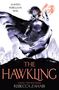 Rebecca Zahabi: The Hawkling, Buch