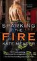 Kate Meader: Sparking the Fire, Buch