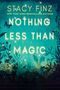 Stacy Finz: Nothing Less Than Magic, Buch