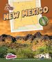 "NEW MEXICO" in großen Buchstaben, darunter eine Karte, ein Vogel und Wüstenlandschaft mit Kakteen unter einem orangefarbenen Himmel., Buch