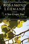 Rosamond Lehmann: A Sea-Grape Tree, Buch